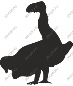  Unique bird