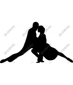  Elegant couple dancing