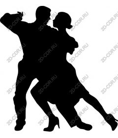 Elegant couple dance