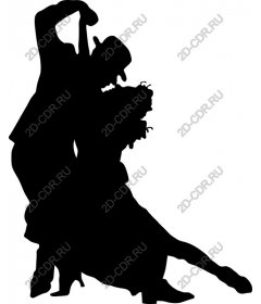  Elegant couple dance