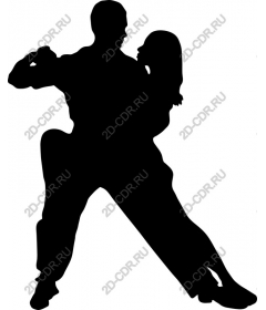  Elegant couple dance