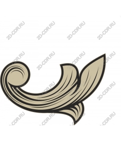  Elegant decorative curl
