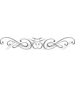  Elegant decorative ornament