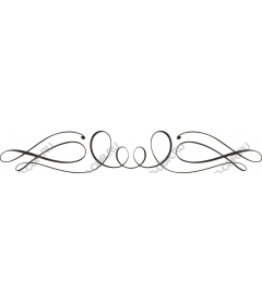  Elegant decorative flourish