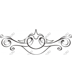  Elegant decorative flourish