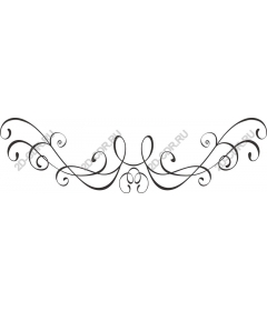  Elegant decorative flourish