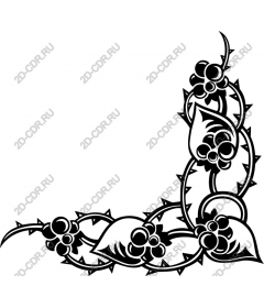  Black thorny vine