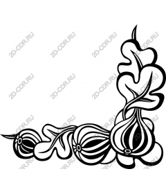  Area organic onion