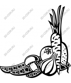 Stylized vegetable