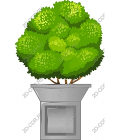  Пышный зеленый куст