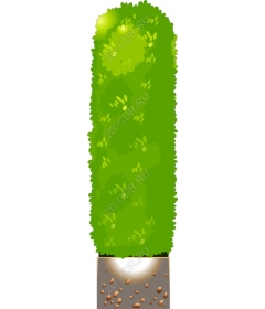  Bright green fence