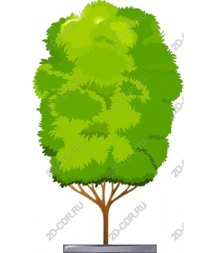  Bright green tree