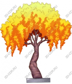 Tree autumn glory
