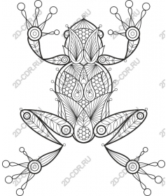  Elegant drawing of a frog