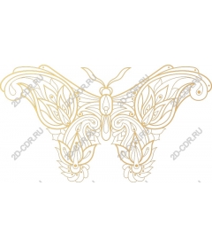  Elegant butterfly