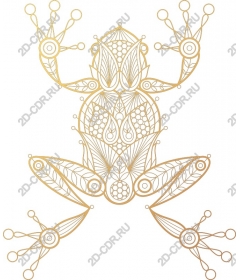  Elegant Golden frog
