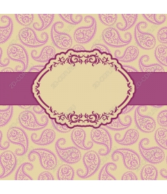  Elegant Paisley pattern with frame