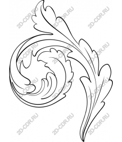  Elegant ornamental curl