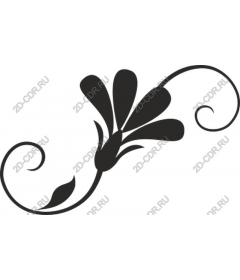  Elegant floral