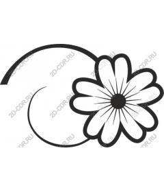 Floral quirkiness