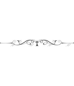  Elegant ornament