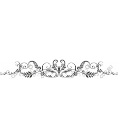  Elegant floral decorative border