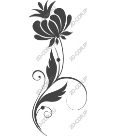  Elegant floral