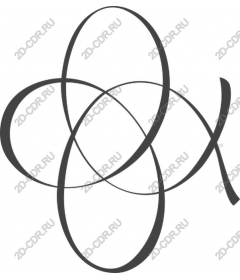  The elegant intersecting oval