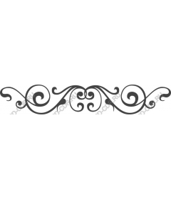  Elegant decorative flourish