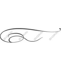  Elegant vortex