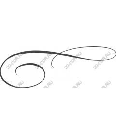  Elegant flourish