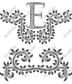  Elegant floral letter E