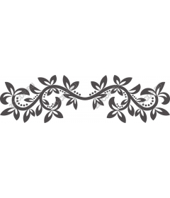  Elegant floral border with a grape vine