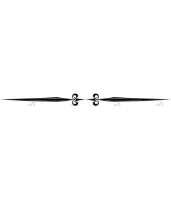  Elegant decorative border