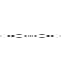  Elegant decorative border