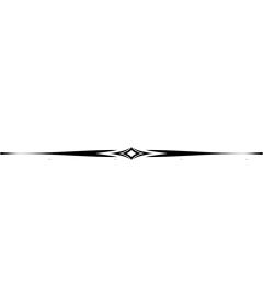  Elegant decorative border