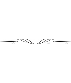  Elegant decorative