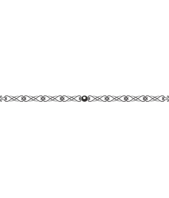 Elegant ornamental frame