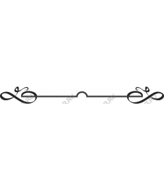  Elegant decorative flourish