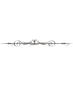  Elegant decorative ornament