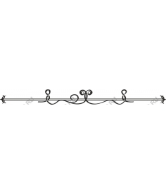  Elegant decorative border