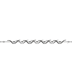  Elegant decorative border
