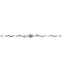  Elegant decorative flourish