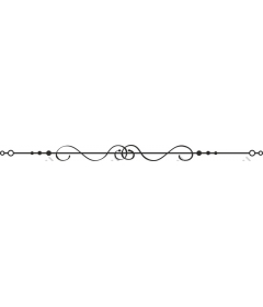  Elegant decorative border