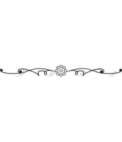  Elegant decorative