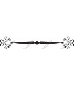  Elegant decorative border