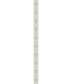  Elegant intricate pattern