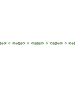  Elegant decorative border