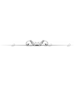  Elegant for projects