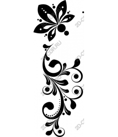  Elegant floral ornament